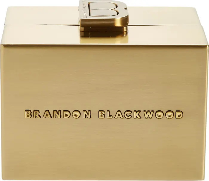 Brandon Blackwood Mini Metal Minaudière | Nordstrom | Nordstrom