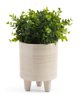 14in Eucalyptus In Ceramic Pot | TJ Maxx