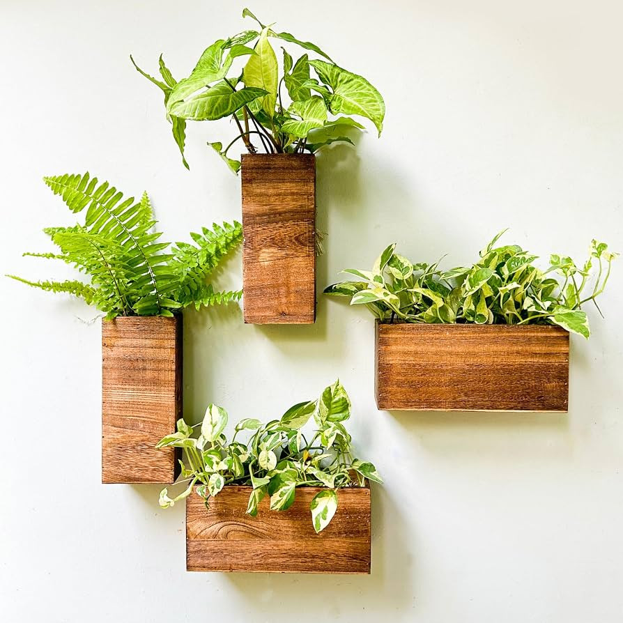 LaLaGreen Wood Planter Box for Plants (4 Pack) Wooden Hanging Wall Planters for Indoor Plant Hold... | Amazon (US)