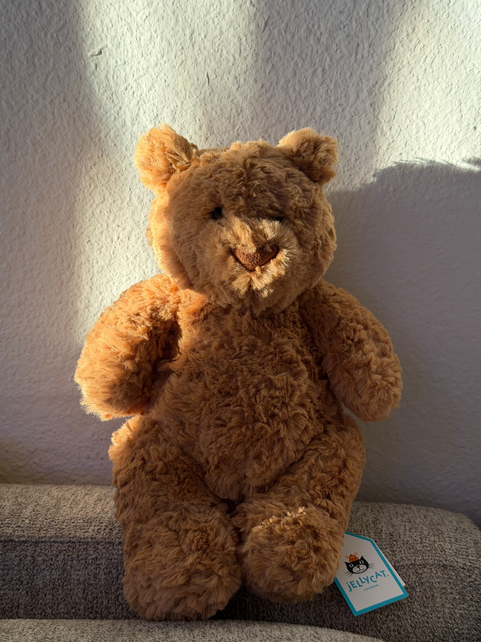 Newest pal 🤎🧸

What a classic jellycat! Bartholomew bear! Meet Graham 

Ig: @jkyinthesky 

#jellycat #stuffedanimals #aesthetic #aesthetichome #accessories #teddybear 

#LTKValentine #LTKHome #LTKselfcare