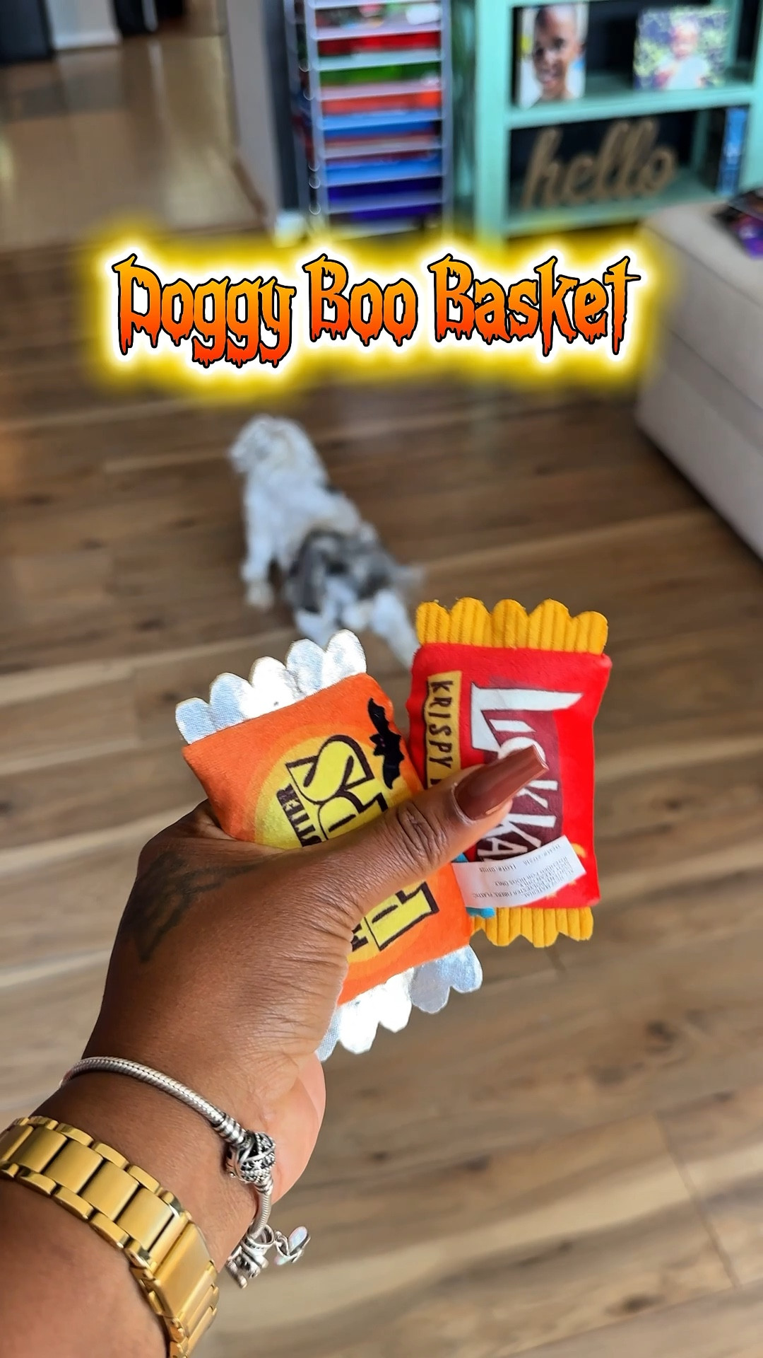 Make your dog the perfect boo basket this Halloween! Bentley absolutely loved his treats and toys. 👻

Dog Boo Basket 
Dog Treats #Halloween #BooBucket #BooBasket 

#LTKFindsUnder50 #LTKSeasonal #LTKPets