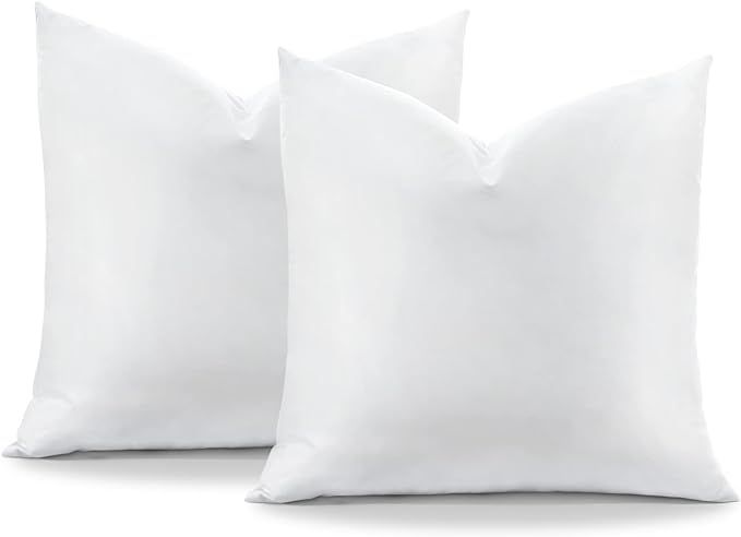 OTOSTAR Pack of 2 Down and Feather Throw Pillow Inserts, 24 x 24 Soft Fluffy Square Pillow Insert... | Amazon (US)