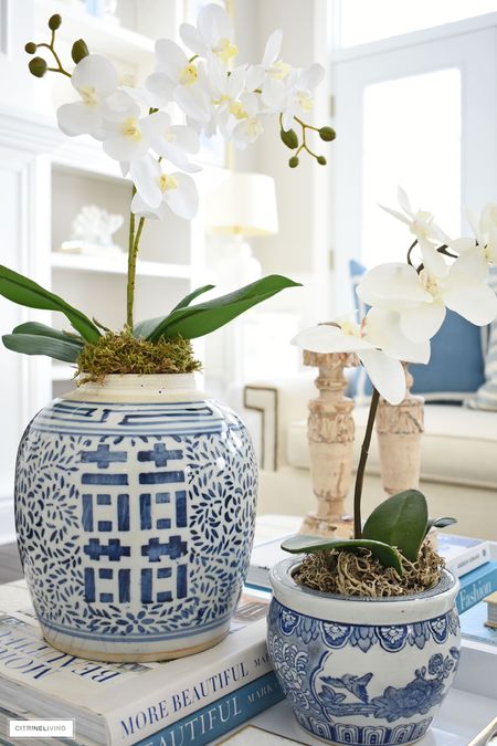 Make your own orchid arrangement in minutes! Ginger jar, faux orchid, spring decor, home decor, living room

#LTKFind #LTKhome #LTKstyletip