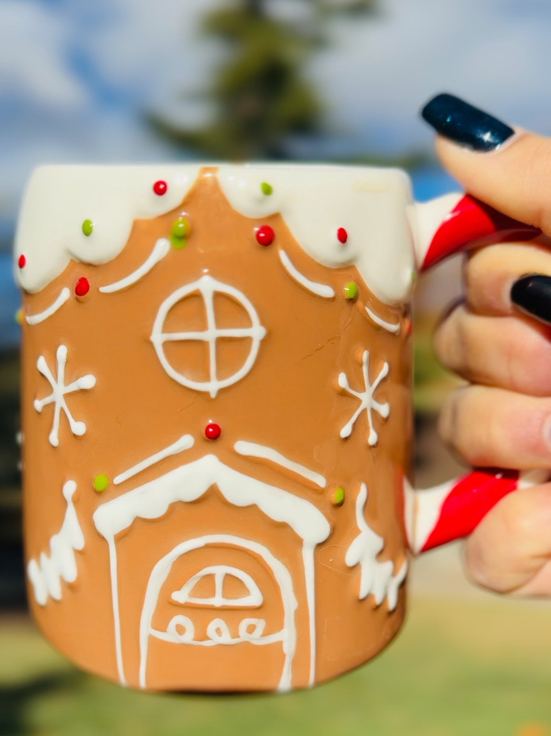 There’s something magical about sipping coffee from this adorable gingerbread house mug! It’s going to be my go-to Christmas mug for 2024, and it just makes every sip feel a little sweeter. 🍪☕️ Microwave and dishwasher safe, too – so it’s as easy to use as it is cute! Who else loves a festive mug? 🎄 #HolidayFeels #GingerbreadJoy #KohlsFind #LTKHoliday #LTKGiftGuide #GingerbreadVibes #FestiveSips

#LTKGiftGuide #LTKHoliday #LTKSeasonal