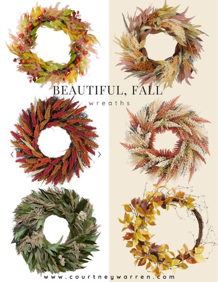 Beautiful and affordable fall wreaths 

Fall decor, fall wreath, home decor, affordable decor 

#LTKSeasonal #LTKhome #LTKunder50