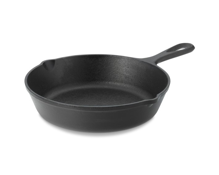 Lodge Seasoned Cast Iron Skillet | Williams-Sonoma