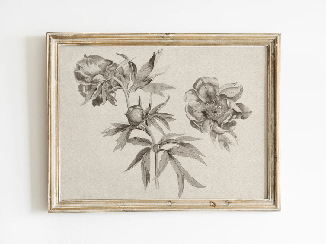 Vintage Botanical Sketch, Antique Flower Drawing Printable, Rustic Art Print, Farmhouse Wall Art ... | Etsy (US)