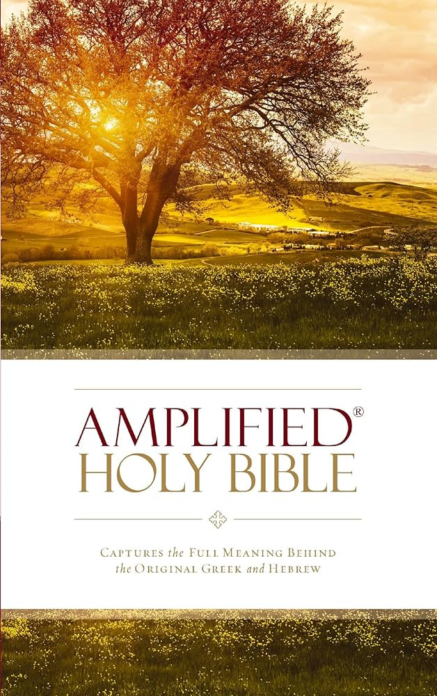 Amplified Holy Bible, Paperback: Captures the Full Meaning Behind the Original Greek and Hebrew | Amazon (US)