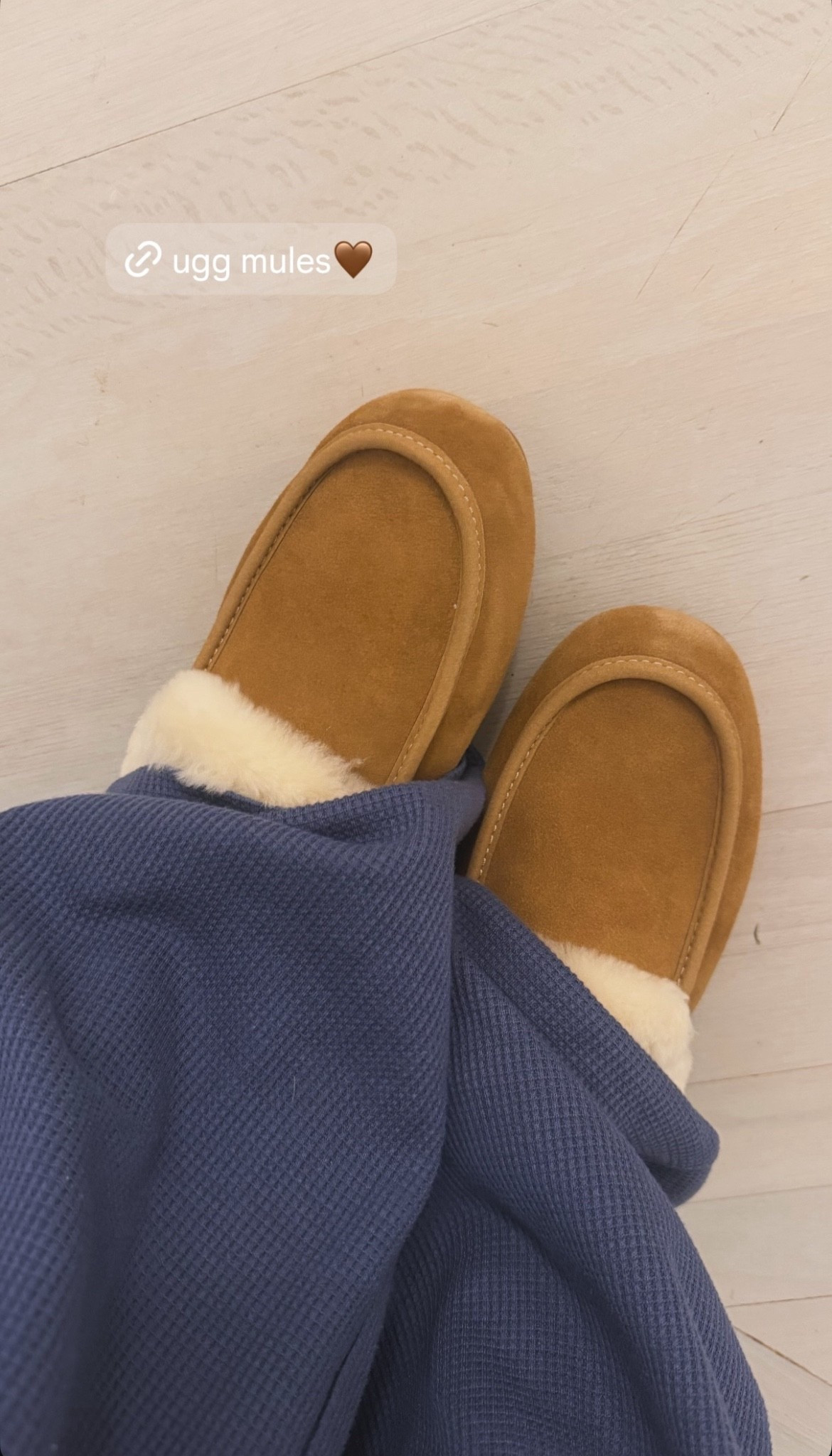 These UGG mules are so cozy! 😍

#LTKShoeCrush #LTKSeasonal #LTKStyleTip