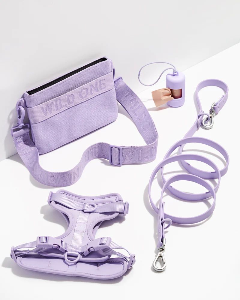 Harness Walk & Treat Kit | Wild One