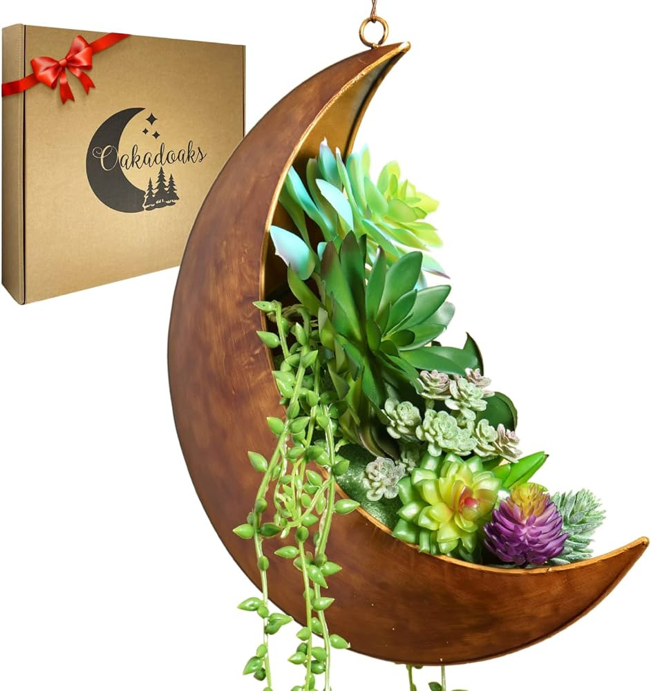 Hanging Moon Planter - Moms Day Gifts for Women - Moon Room Decor - Unique Planters for Succulent... | Amazon (US)
