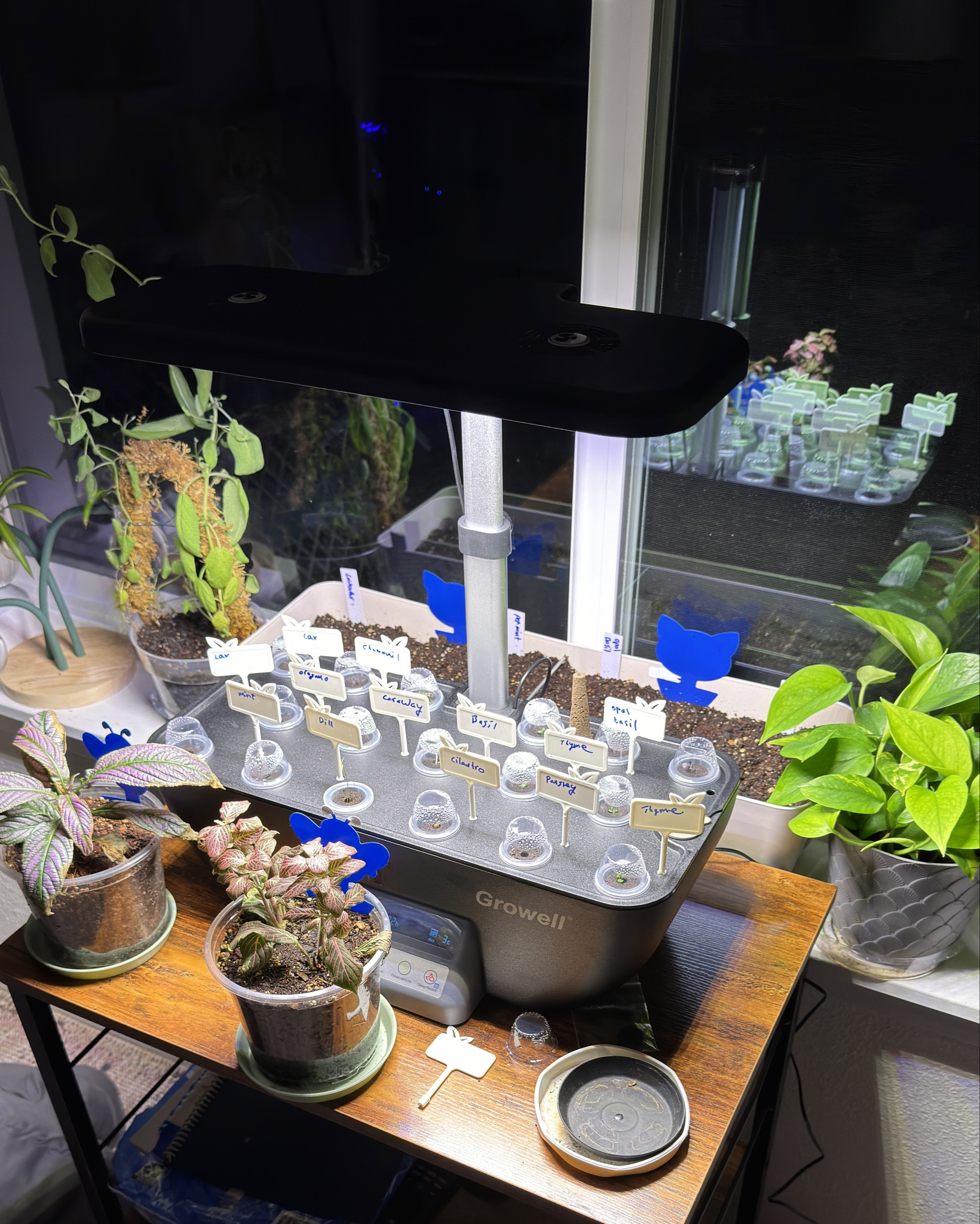 My new hydroponic farm with 17 pod capacity. 4 days in and growth, excited growing opal basil for the first time. 

#LTKHome #LTKU #LTKGiftGuide