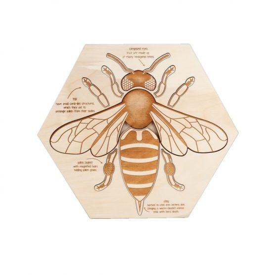 Stuka Puka Bee Anatomy Wooden Puzzle | The Tot