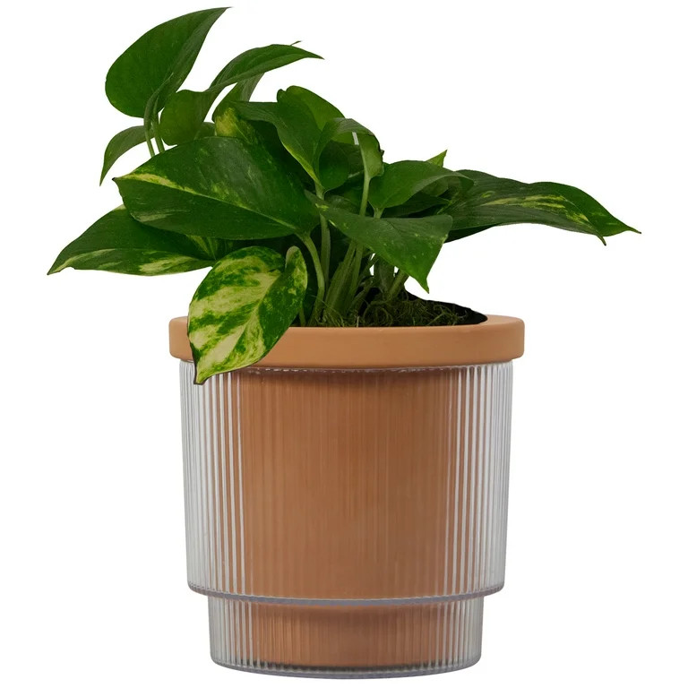 Mainstays 6in Aquaterra Self Watering Planter | Walmart (US)