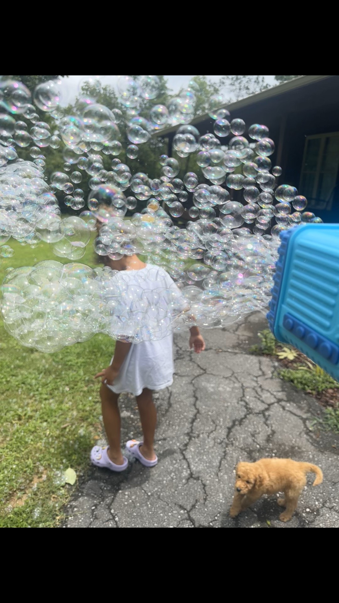 Summer fun ☀️

#LTKKids #LTKSummerEdit #LTKFamily