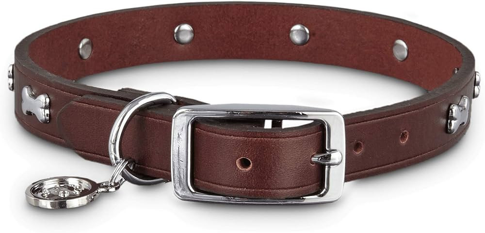 Petco Brand - Bond & Co. Brown Leather Bone Stud Dog Collar, for Neck Sizes 18-21, Large/Extra La... | Amazon (US)