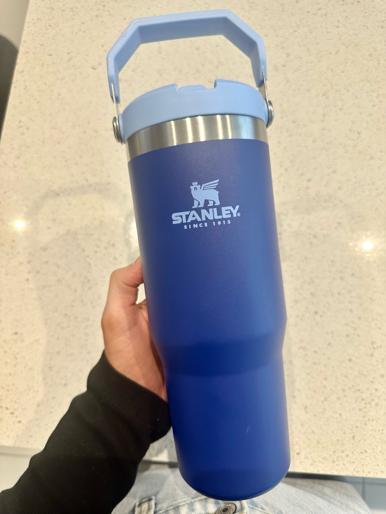 Stanley tumbler 