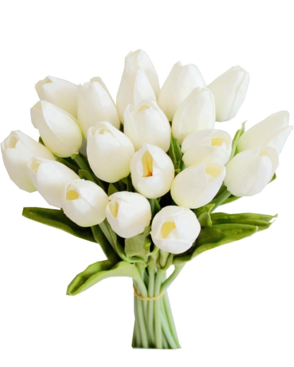 20pcs Artificial Tulip Silk Fake Flowers 13.5"
🤍

#LTKhome #LTKMostLoved #LTKSeasonal