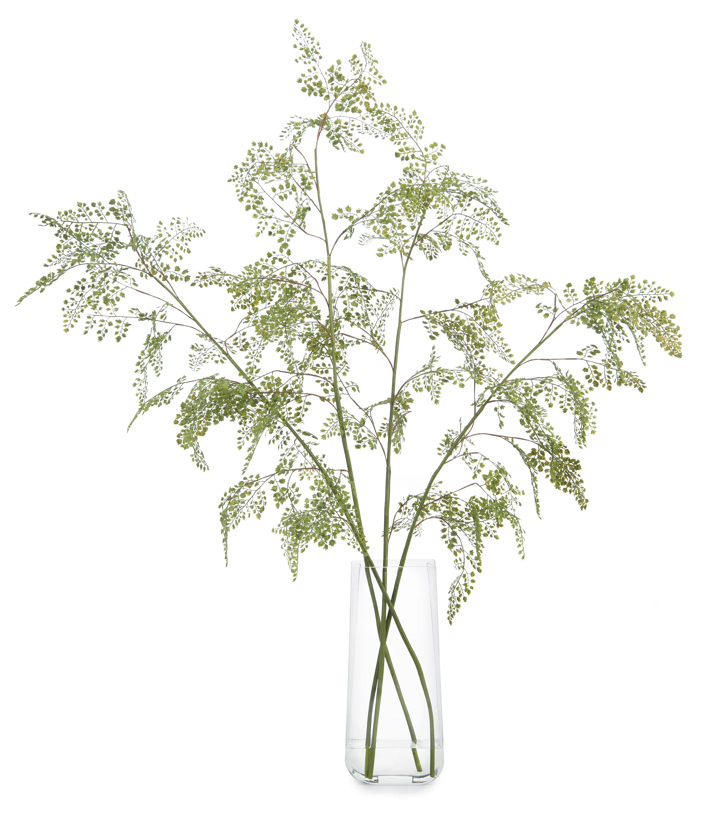 John-Richard Artificial Fern Branch in Jar | Wayfair | Wayfair North America
