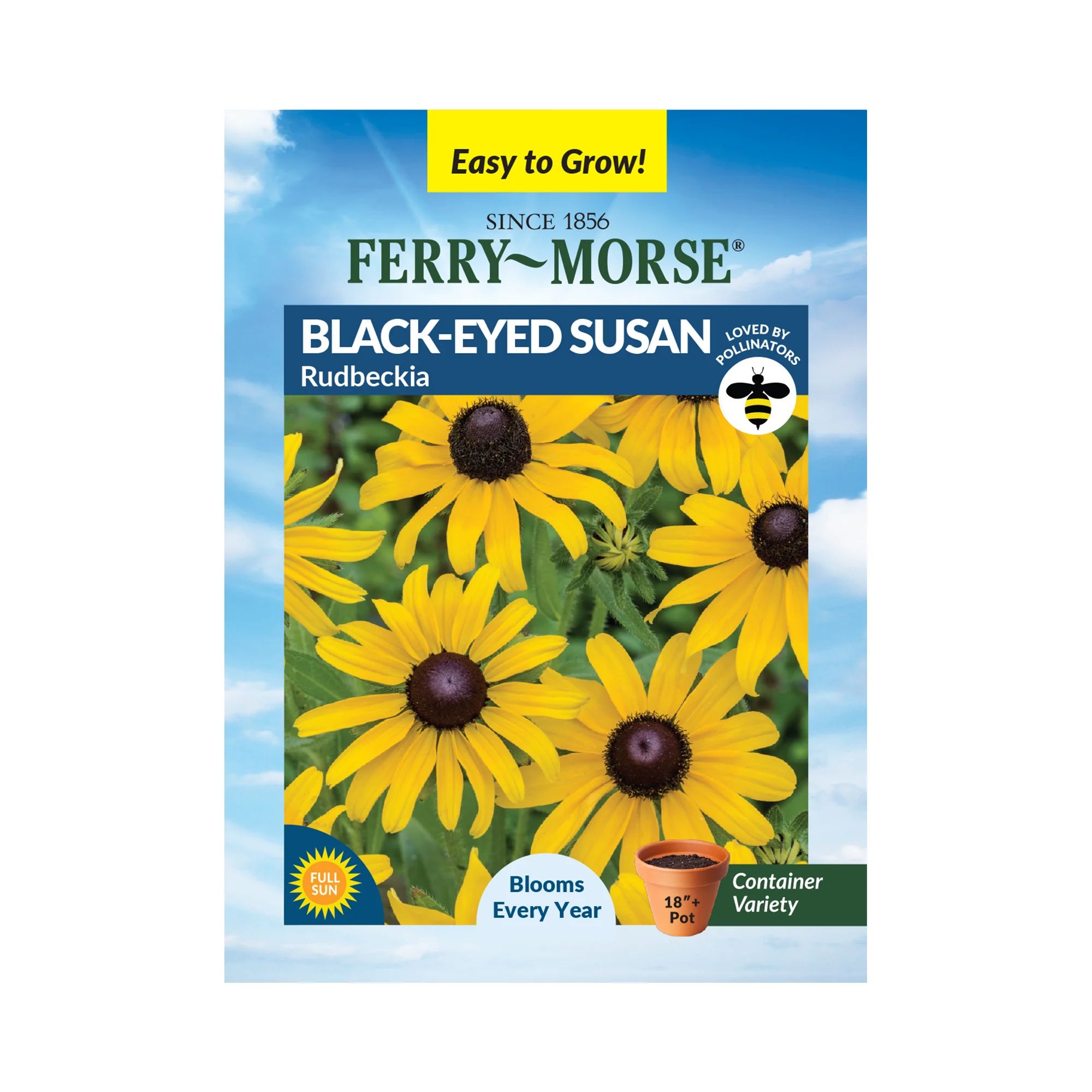 Ferry-Morse 120MG Black Eyed Susan Rudbeckia Hirta Perennial Flower Seeds Full Sun | Walmart (US)