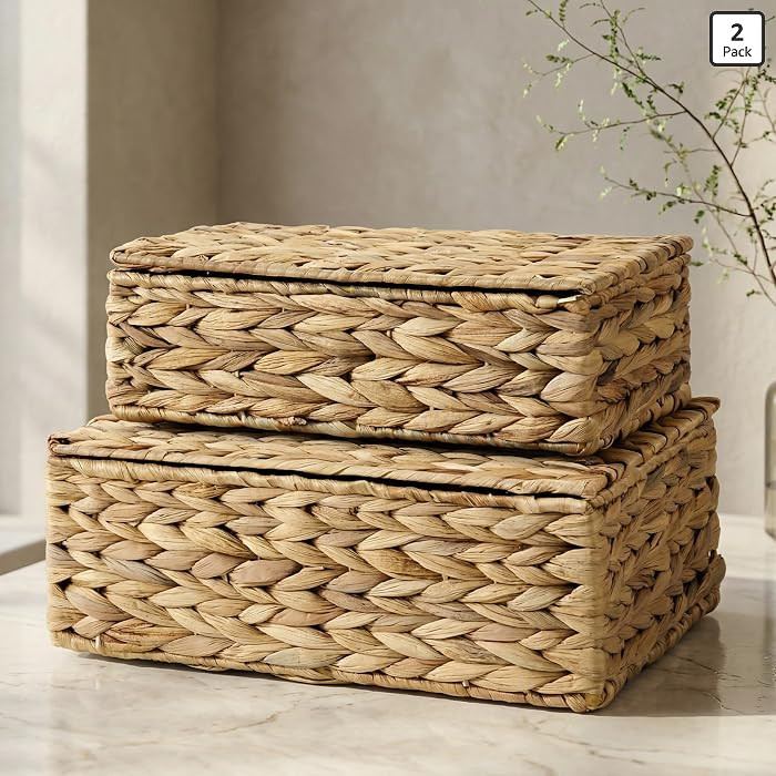 Decorative Storage Boxes with Lids - Set of 2 Beautiful Wicker Organizer Bins for Your Shelves & ... | Amazon (US)