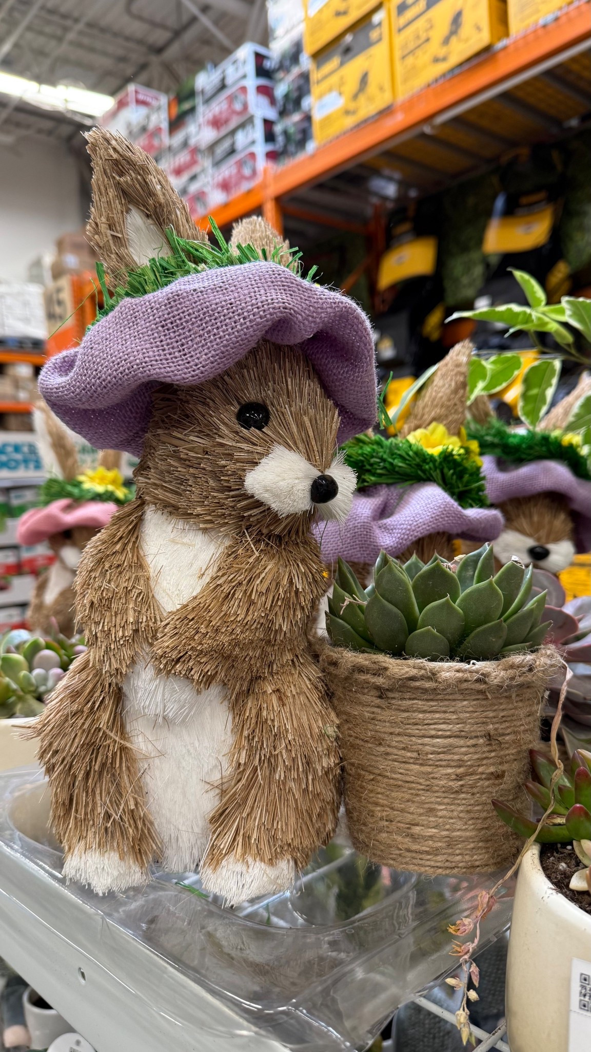 How cute is this succulent planter from Home Depot? I did not purchase, because I kill all succulents! 🫣🥲

Can't link it, but check your store to see if they're in stock!

#LTKHome #LTKU #LTKSeasonal