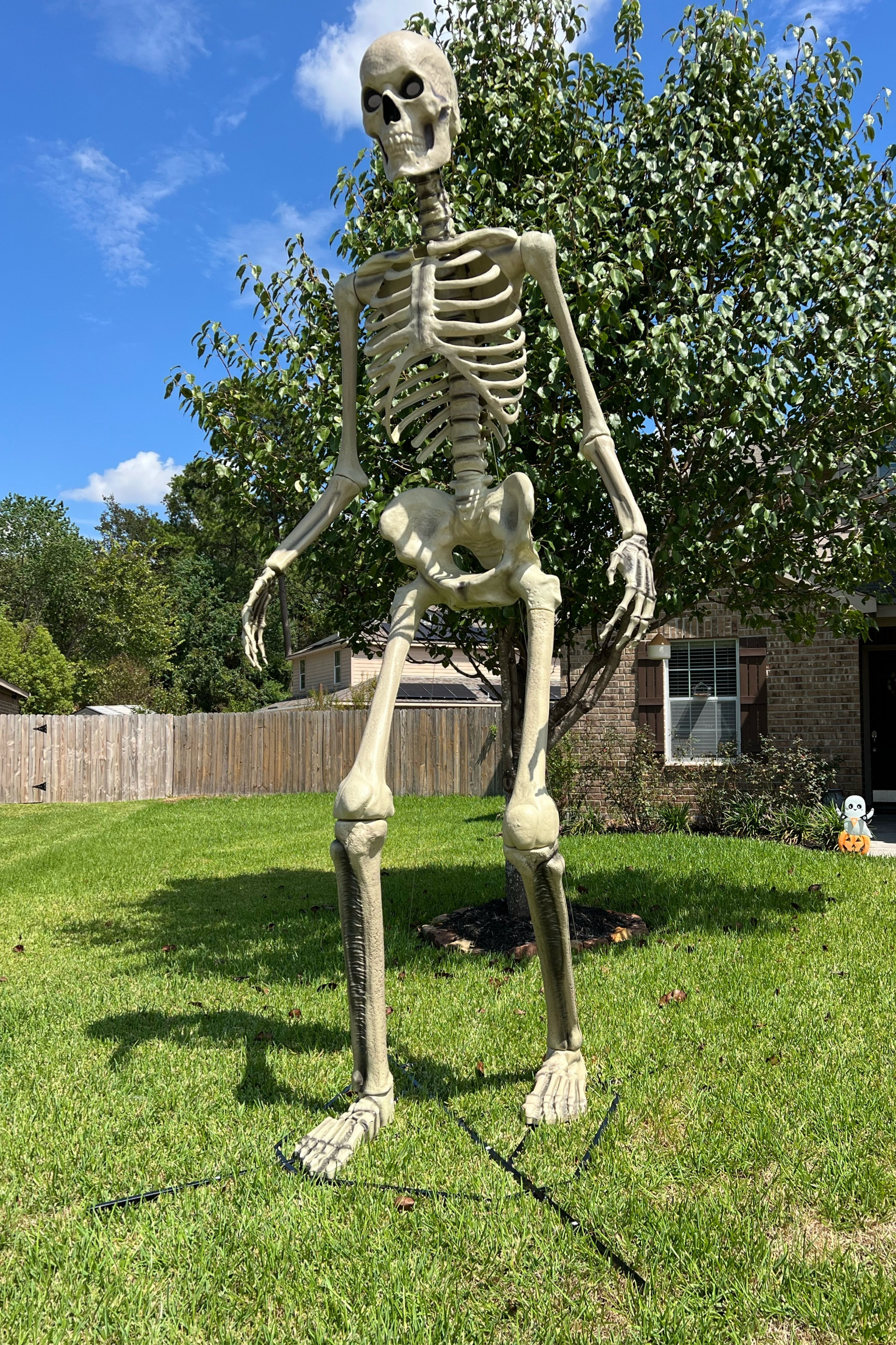 12ft giant Skeleton is back and in stock! Always sells out so fast! 

#LTKFindsUnder100 #LTKSeasonal #LTKFindsUnder50