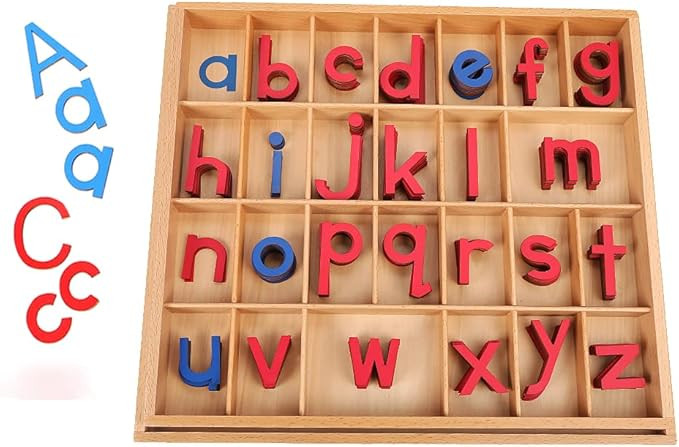 Montessori Letter Work Learning Materials Wooden Small moveable Alphabet Language Objects with Bo... | Amazon (US)