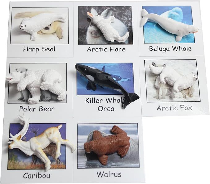 Montessori Arctic Polar Animal Match - Miniature Arctic Animal Toy Figurines with Matching Cards ... | Amazon (US)