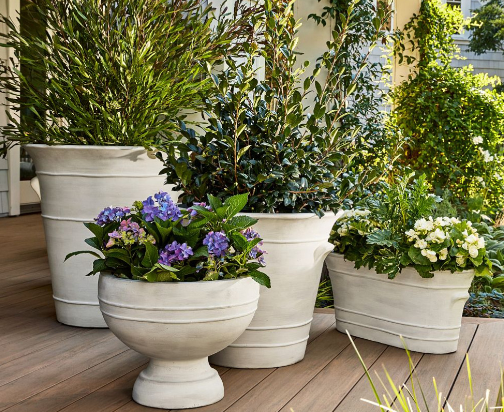 certain styles/colors on sale!

Nantucket Outdoor Planters outdoor planters patio home decor plants flowers 

 