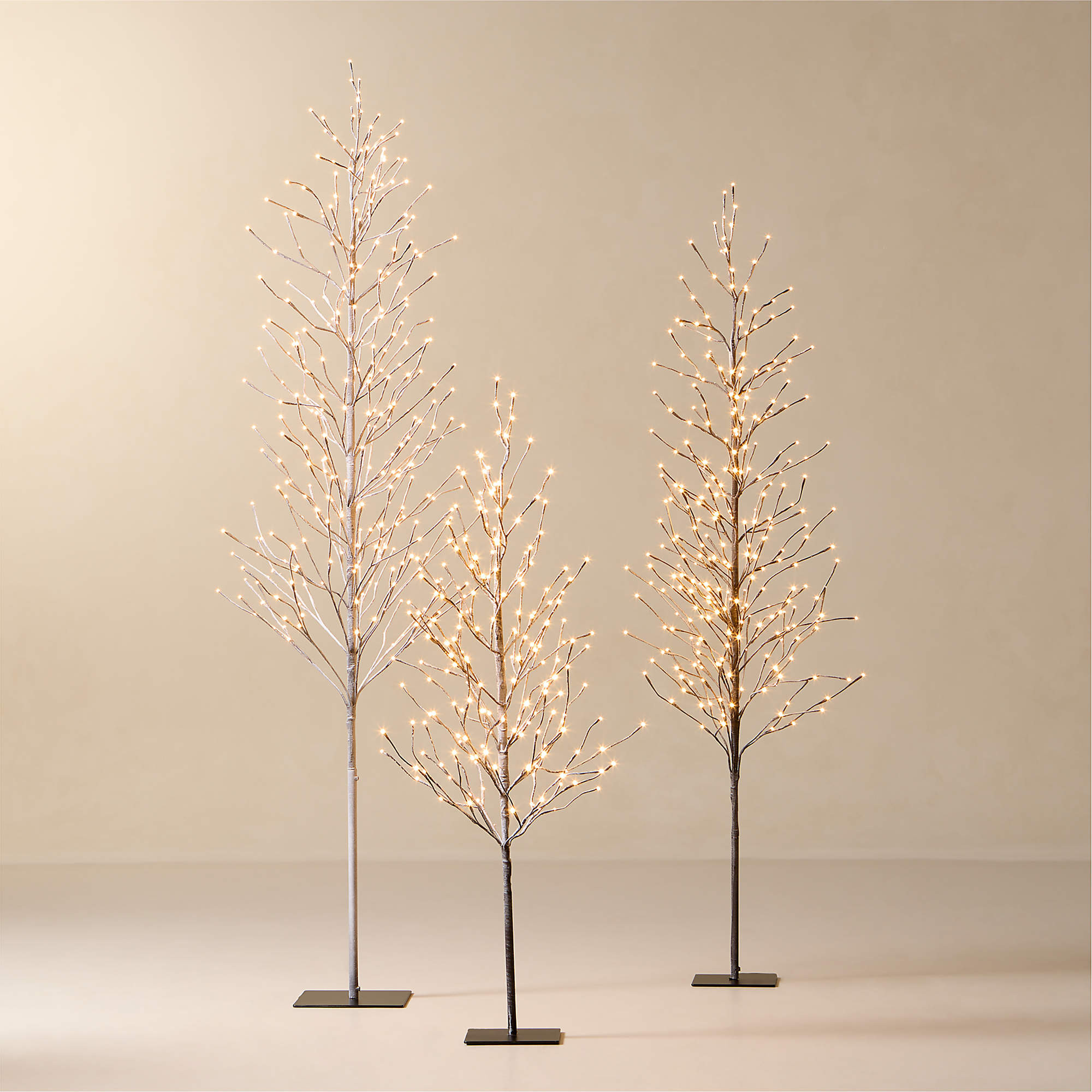 Faux Birch Pre-Lit LED Trees, Set of 3 + Reviews | CB2 | CB2
