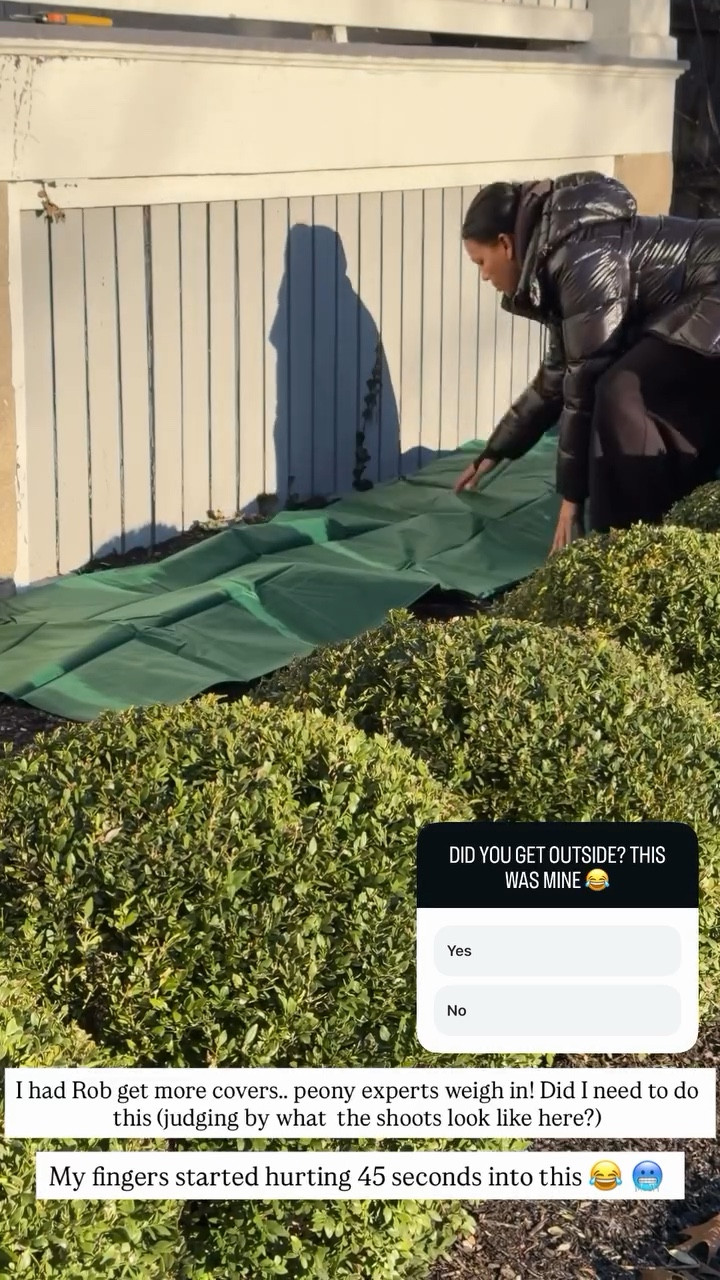 BTS from my week! Covered my peon shoots but not sure I needed to?

#LTKHome #LTKActive #LTKdayinmylife