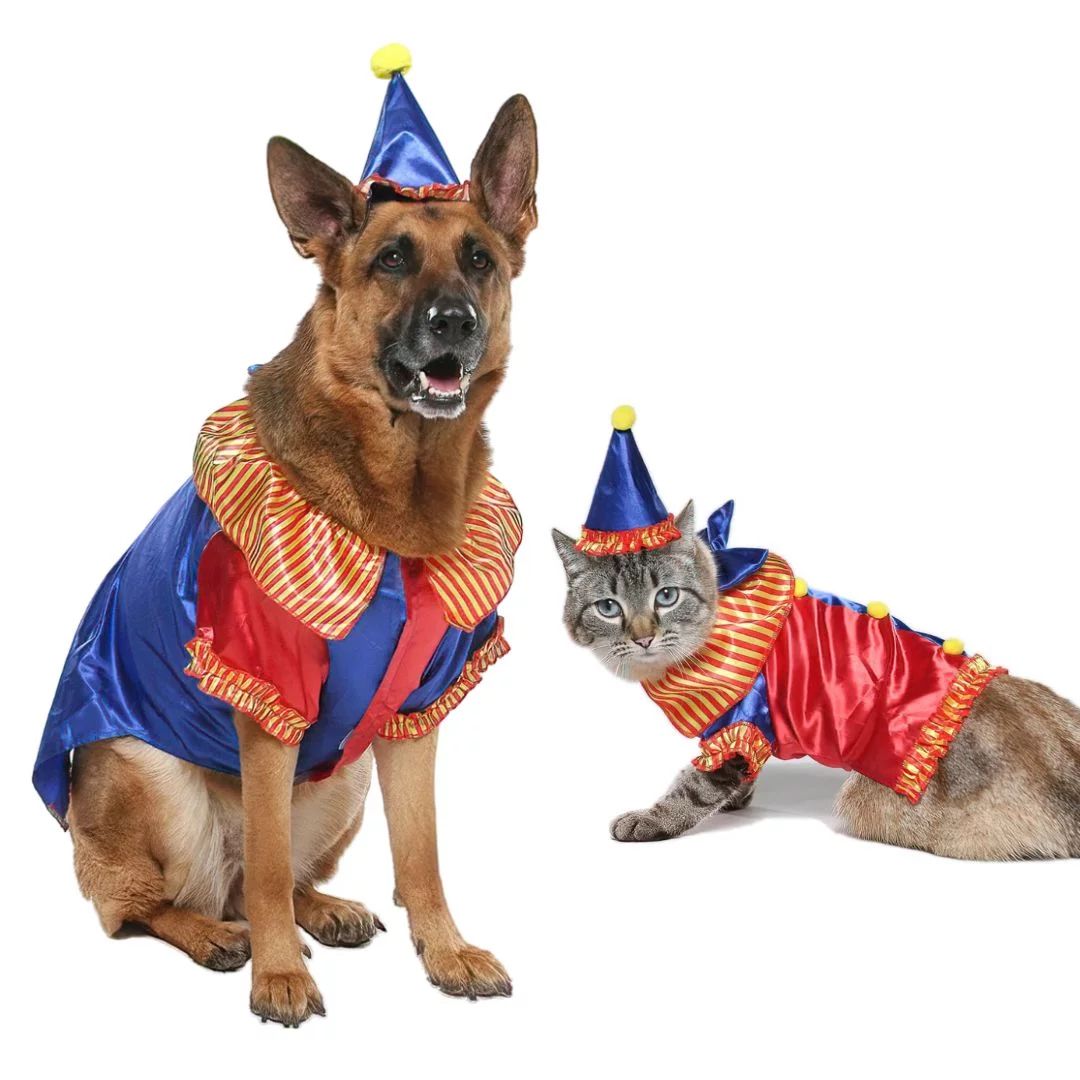 Vibrant Life Halloween Dog Costume and Cat Costume: Clown, Size Medium | Walmart (US)