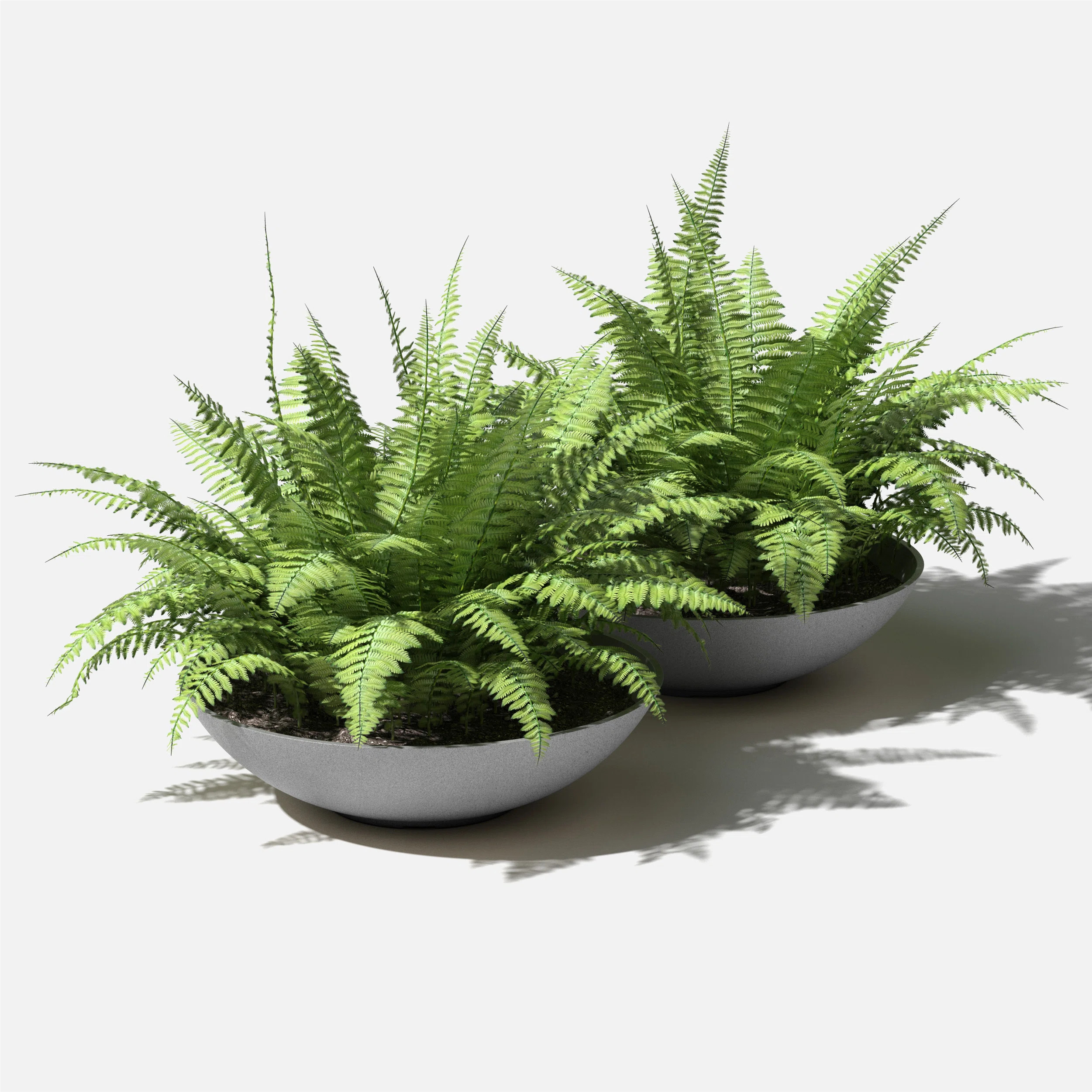 Pure Series Lane Bowl Planter | Wayfair North America
