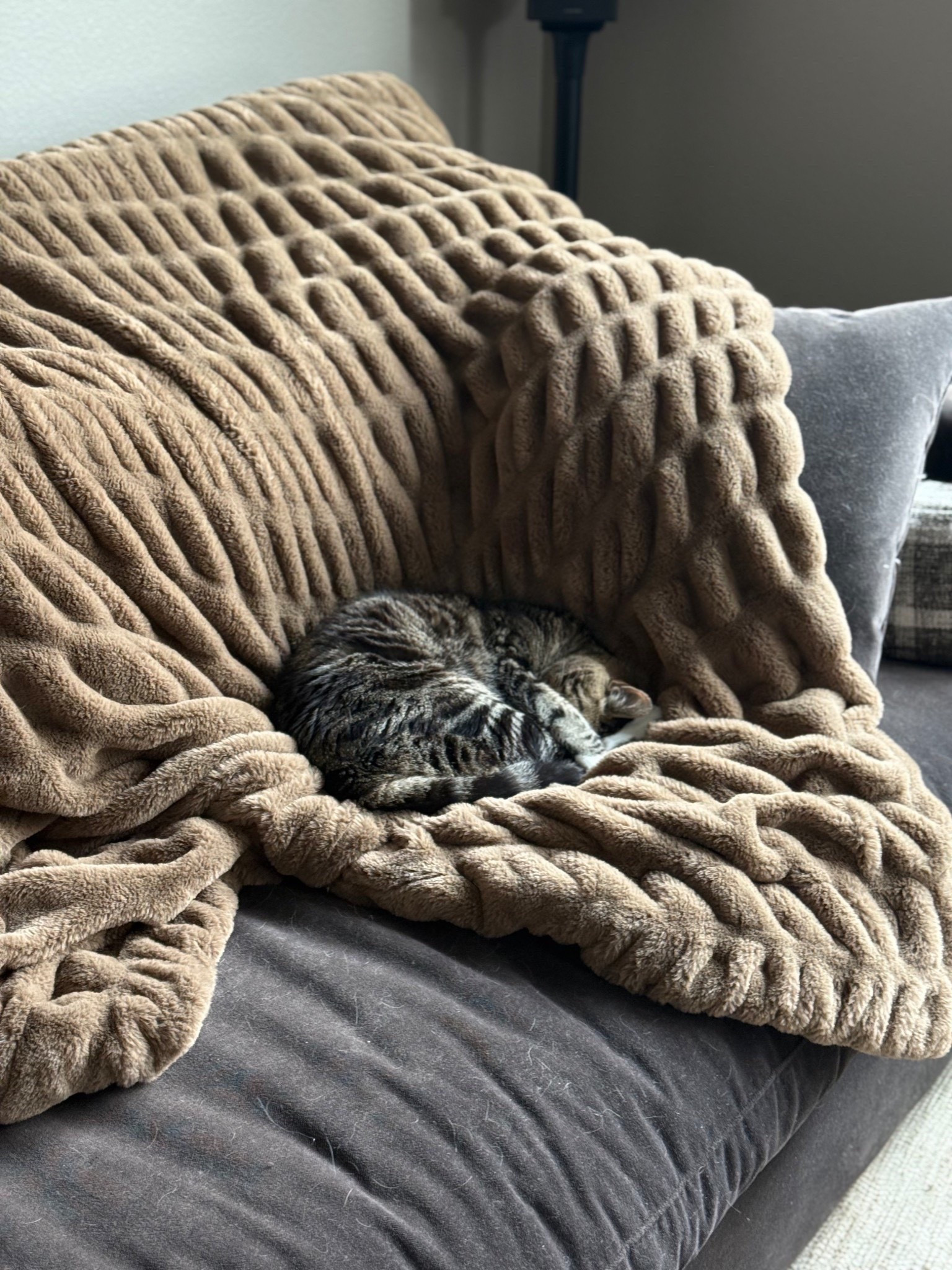 Ever since I got this Lola blanket in the mail it is constantly being used! 
#LTKGiftGuide #LTKHoliday #LTKHome

#LTKmomlife #LTKHome