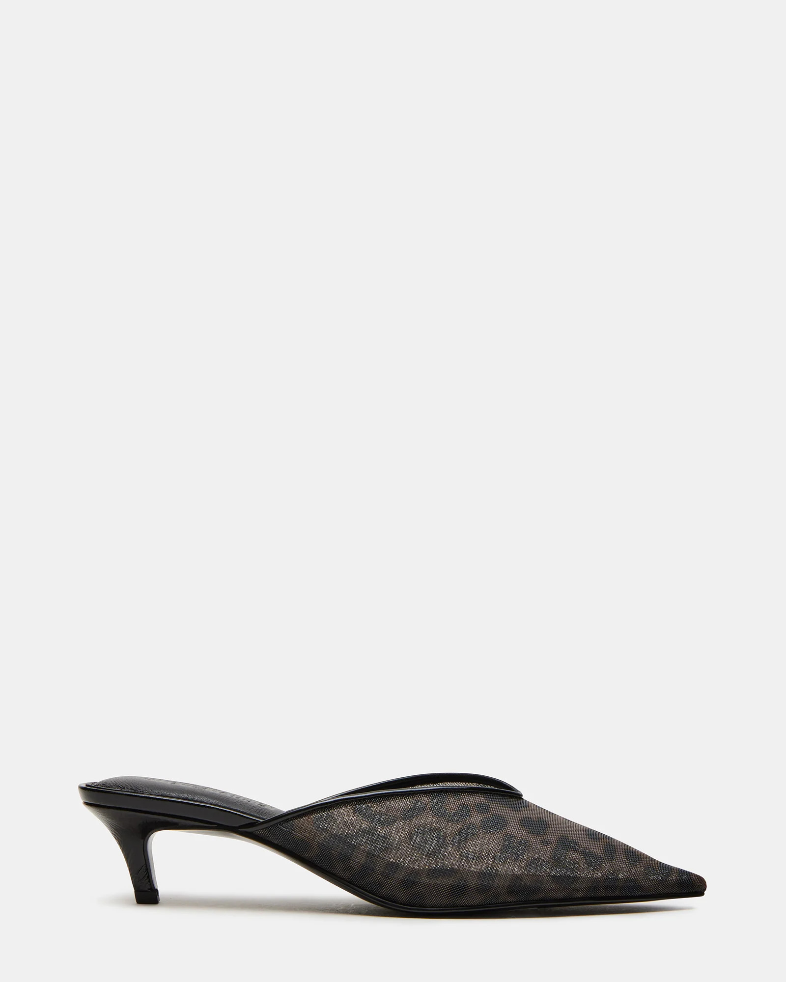 LIVIA Leopard Kitten Heel Mule | Women's Heels | Steve Madden (US)
