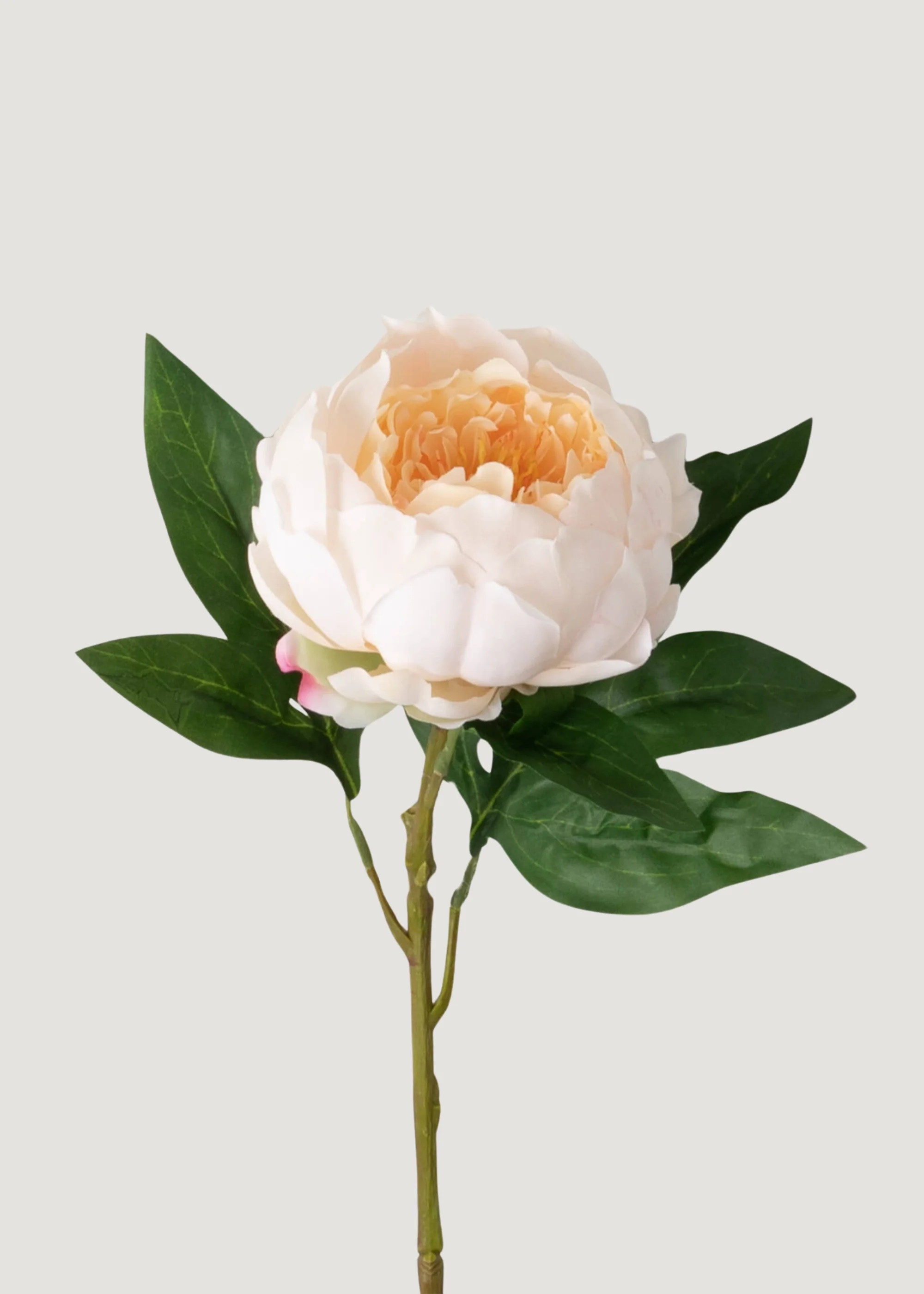 Fake Peony Stem in Peach | Artificial Peonies and Flowers | Afloral | Afloral