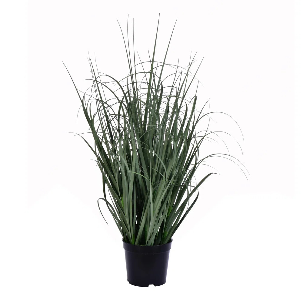 Sand & Stable™ Artificial Green Potted Ryegrass & Reviews | Wayfair | Wayfair North America