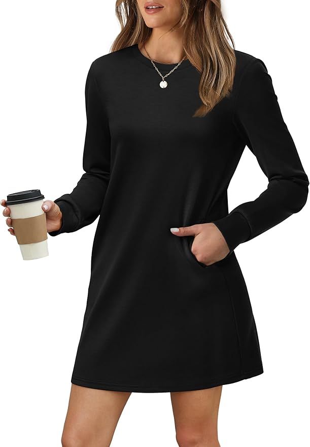 WIHOLL Dresses for Women Long Sleeve Casual Loose Fit Fall Fashion Crewneck Mini Dress with Pocke... | Amazon (US)