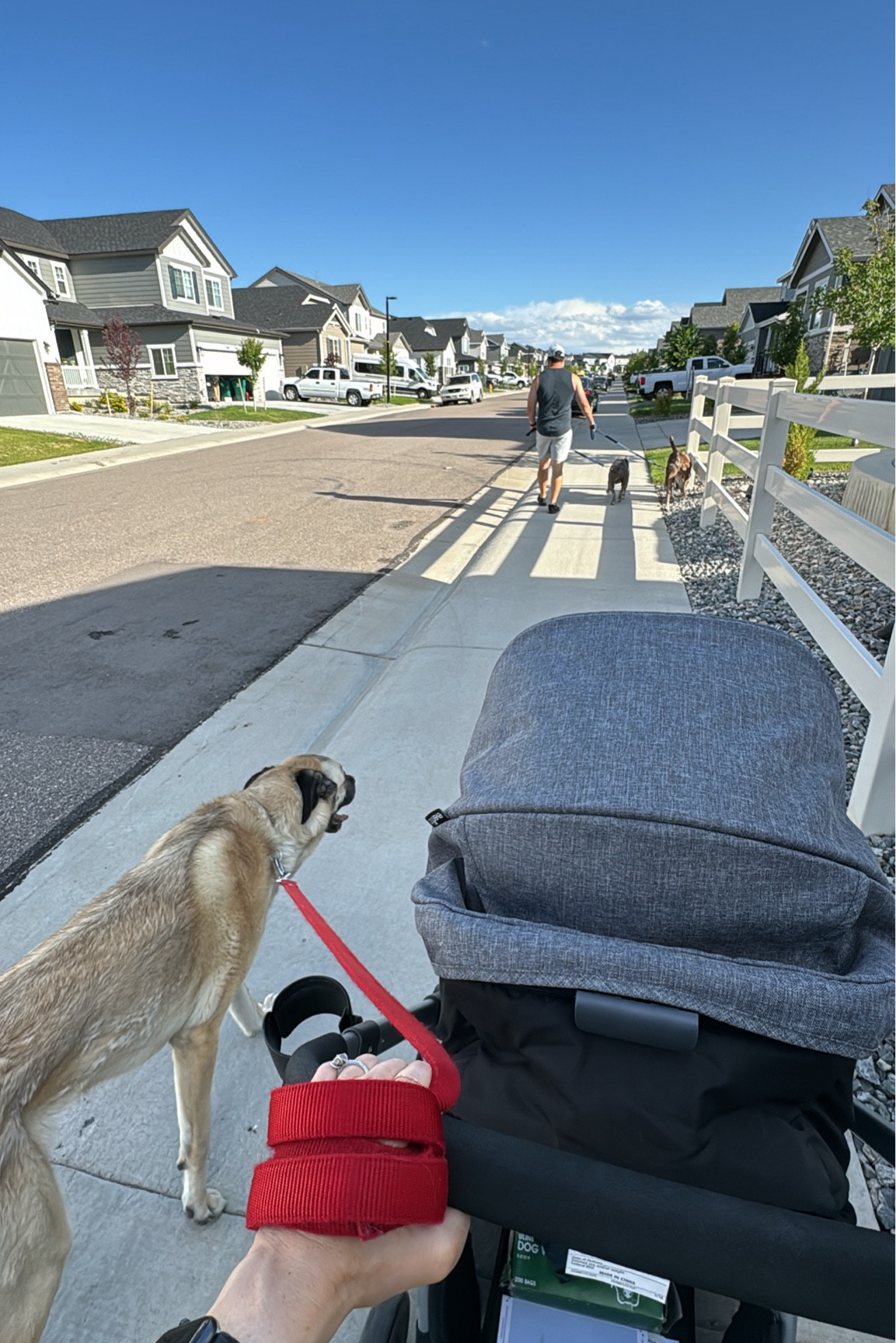 summer night walks ☀️

#LTKActive #LTKFamily #LTKKids