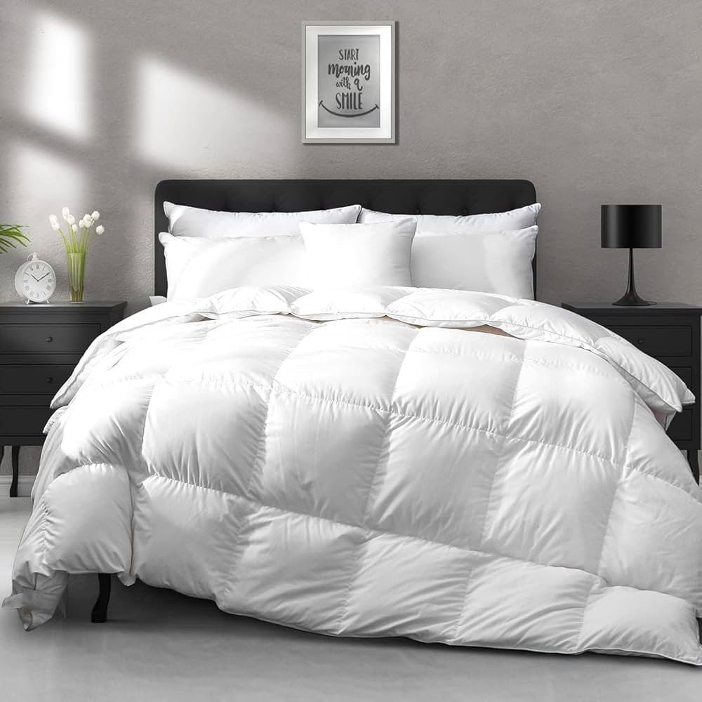 APSMILE All Season Down Feather Fibers Comforter King Size - Ultra-Soft Extra Fluffy Hotel Collec... | Amazon (US)