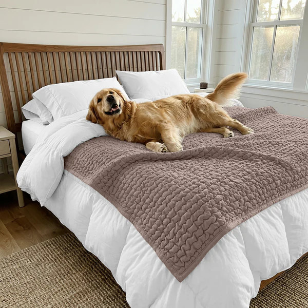 Waterproof Bed Blanket Queen | Mamma Mia Covers