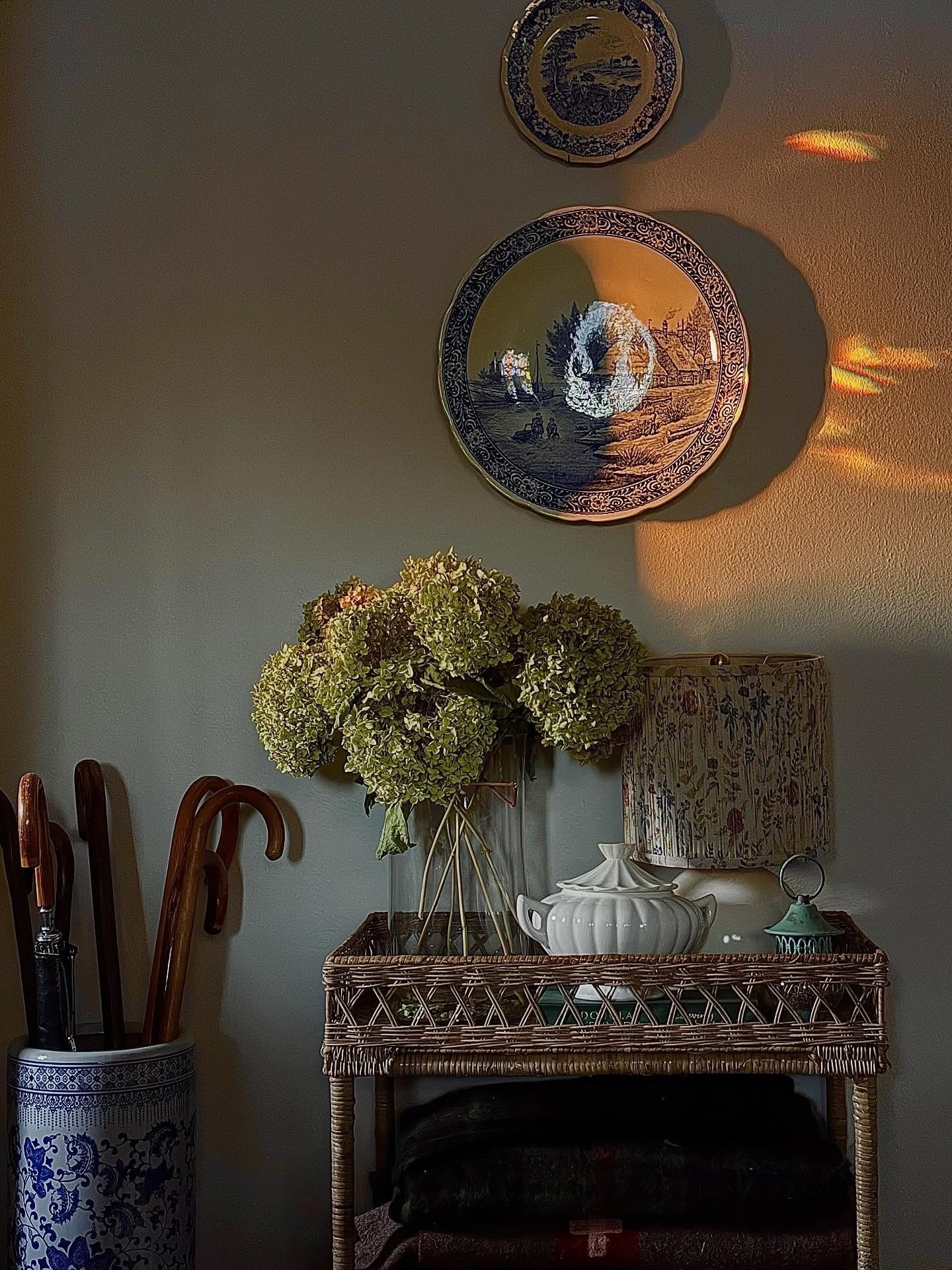 Even with all of the snow outside, I feel a bit of warmth coming through the windows today. 

#cottagecore #englishcottage #cottagecoreaesthetic #frenchcountry #antiques
