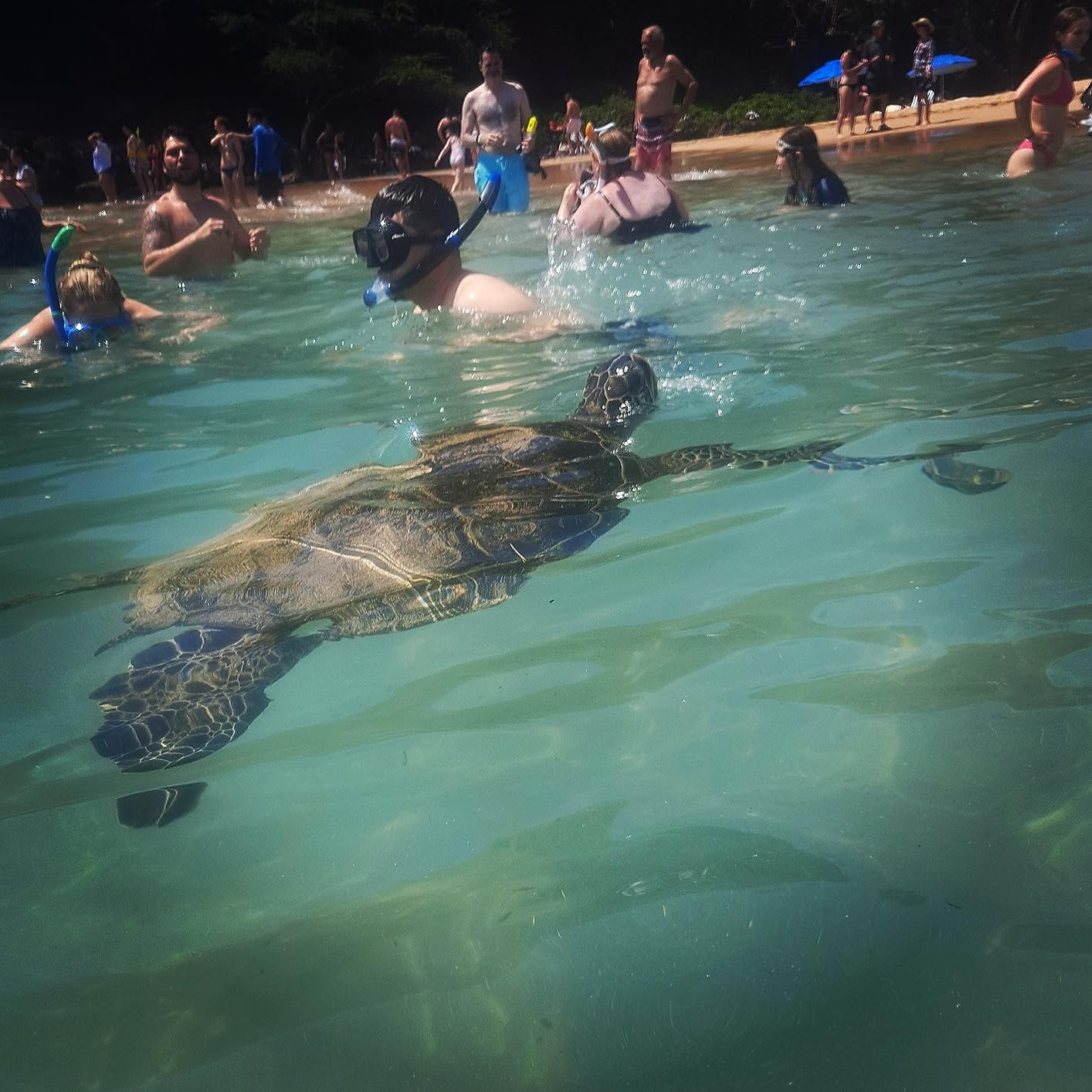 Mr. Pen- Waterproof Phone Pouch, 2 Pack, Waterproof Phone Holder, Dry Bag for Phone | Amazon (US)