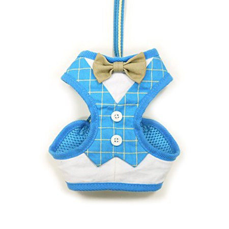 Dogo EasyGo Bowtie Blue Harness - Small, Easy step-in design By DOGO 100 From USA | Walmart (US)