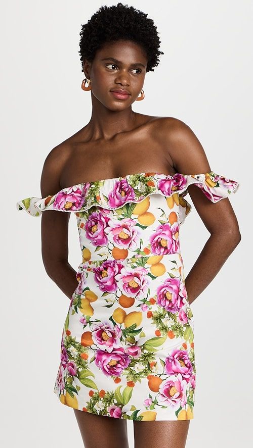 Nalani Mini Dress | Shopbop