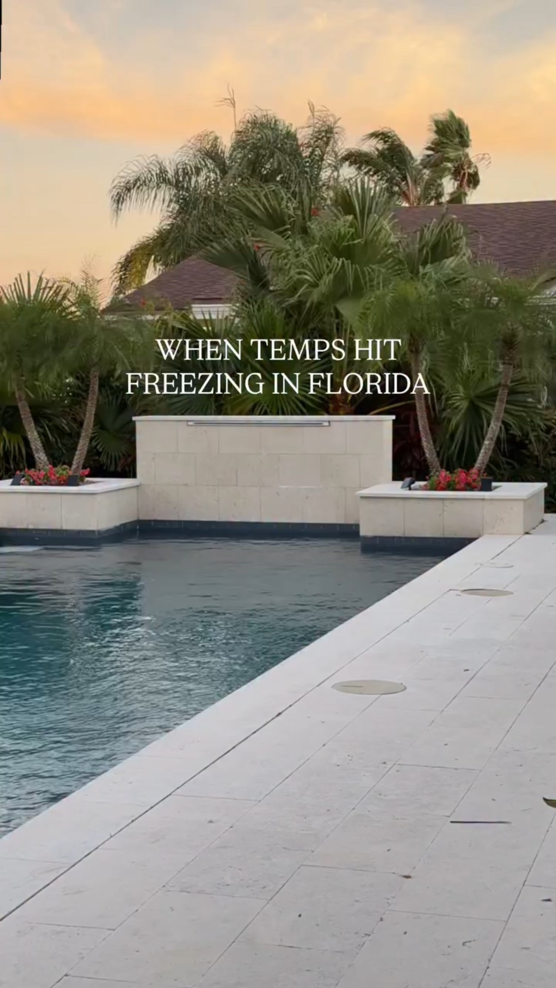 These plant covers have SAVED my plant babies two years in a row now! Our low last night was around 34° and highs in the low 50s. To prevent frost burn and browning of the fronds, I cover my plants that are in planters and carry the ones from the dock into the shed and in our pool bath to stay cozy and wait out this cold snap. 

The palms in the pool planters are Pygmy date palms. 
The planters against our house contain giant bird of paradise plants, purple queen and ferns. The planters next to the pool bath has elephant ears. I pushed the Majesty palms into the bathroom and shed. 😅 By Thursday it should be safe to bring them back out and uncover everything. 🙏🏽

#coastalhome #floridaliving #backyarddesign #backyard_dreams #coastalliving #coastaldecor #pooldesign #modernpool #jaxbeach #tropicallandscape #tropicalplants #palmcare #palmtreelove #zone9b
#frostprep #freezing#plantcare #gardeningtips