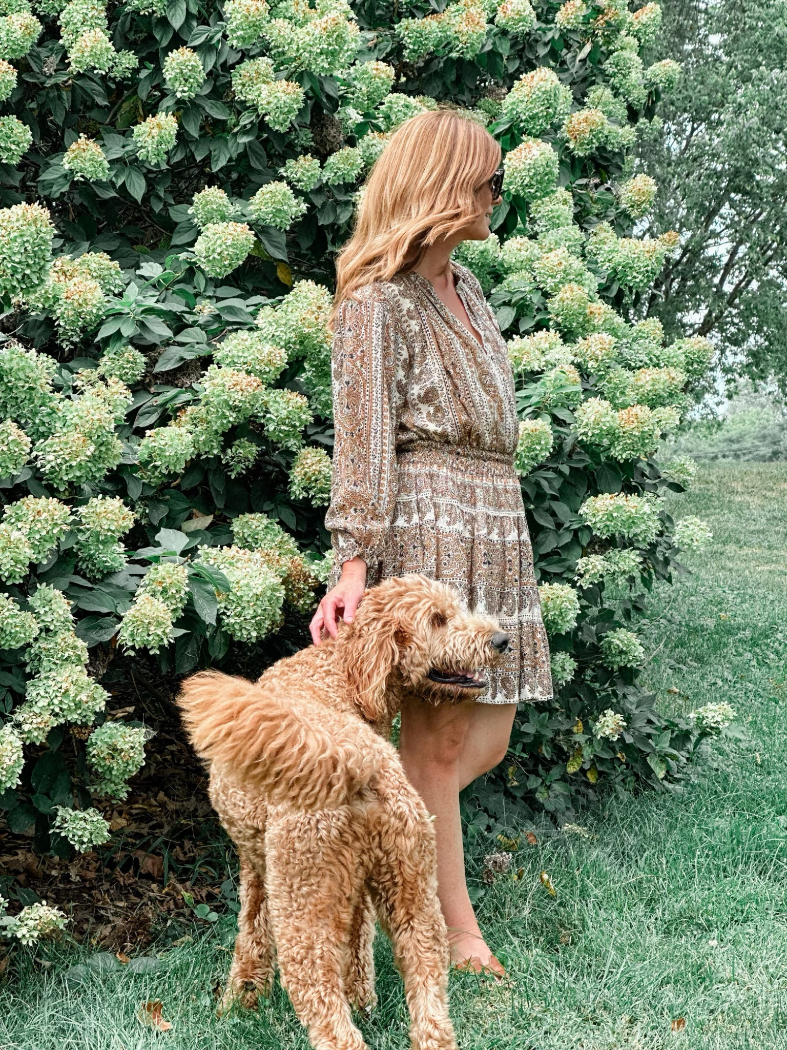 Omika dress for fall, thanksgiving dress, fall dress, fall cocktail dress 

#LTKSeasonal #LTKstyletip