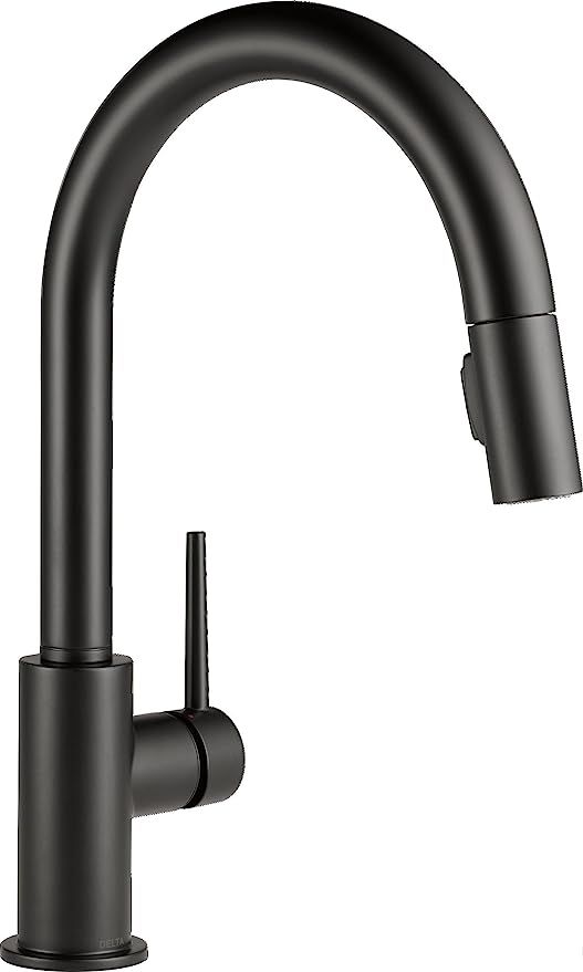 Delta Faucet Trinsic Single-Handle Kitchen Sink Faucet with Pull Down Sprayer and Magnetic Dockin... | Amazon (US)