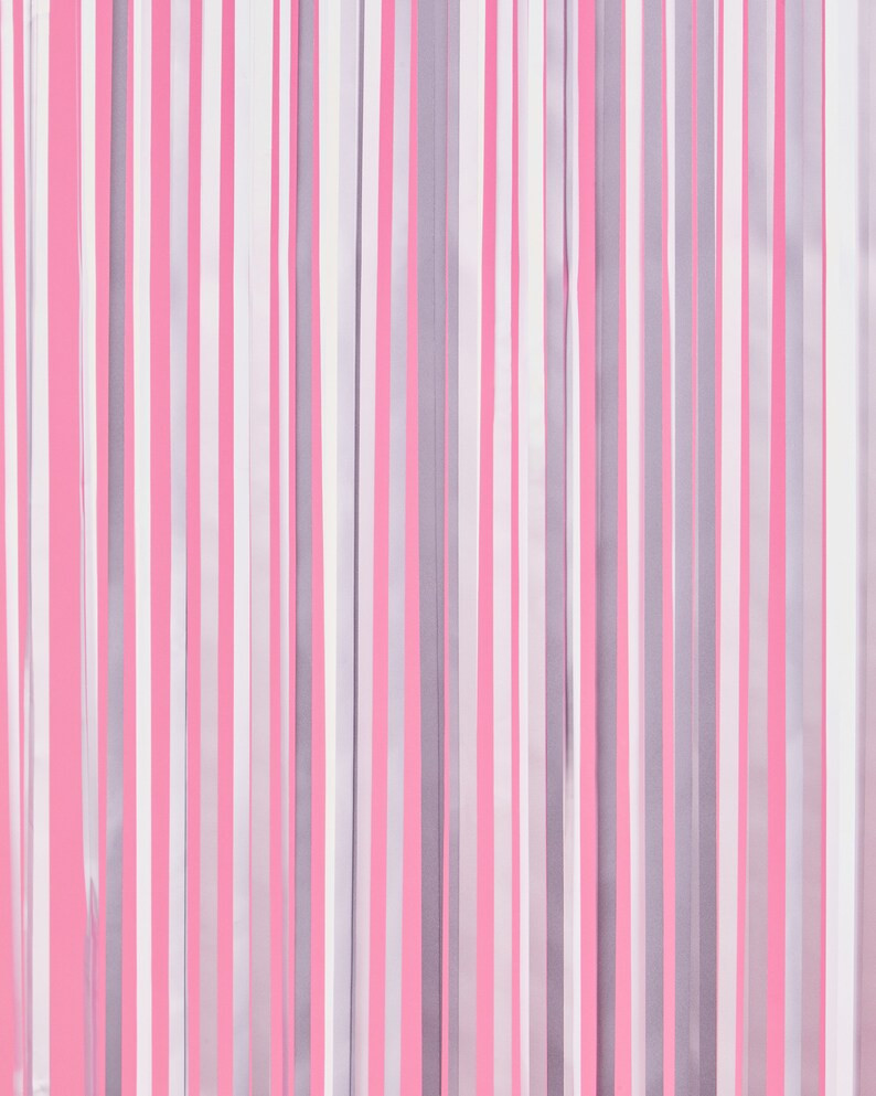 xo, Fetti Bachelorette Party Decorations Matte Silver Fringe Foil Curtain - Set of 2 | Bridal Sho... | Etsy (US)